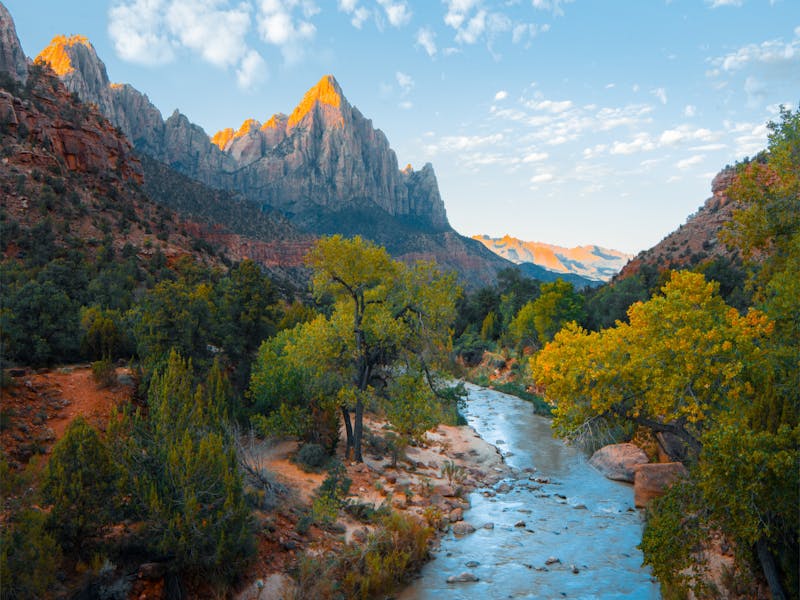Natural Stability wellness retreat surrounded by tropical greenery