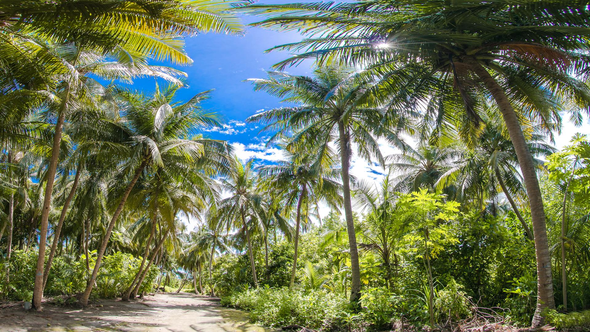 Tropical beach in Sri Lanka