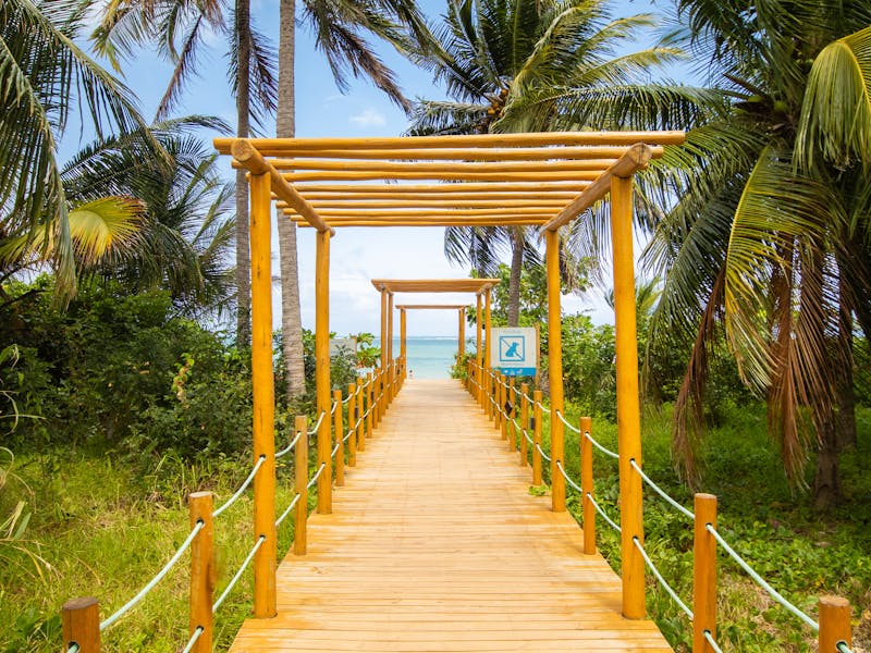 Tropical boardwalk with palm trees near Welligama